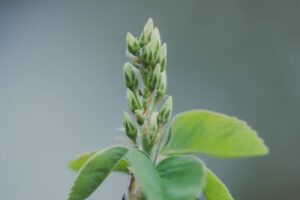 Getting Started with Django: A Beginners Guide
