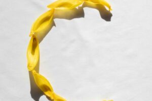 Understanding System Calls: The Backbone of Operating Systems