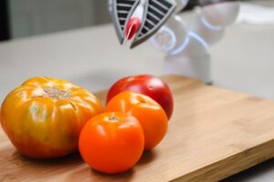 Understanding TensorFlow: A Comprehensive Guide for Beginners